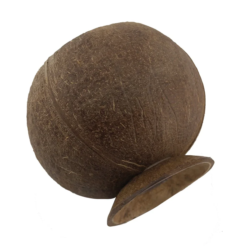 Ветрозащитная настольная подставка для хранения миска из скорлупы кокоса