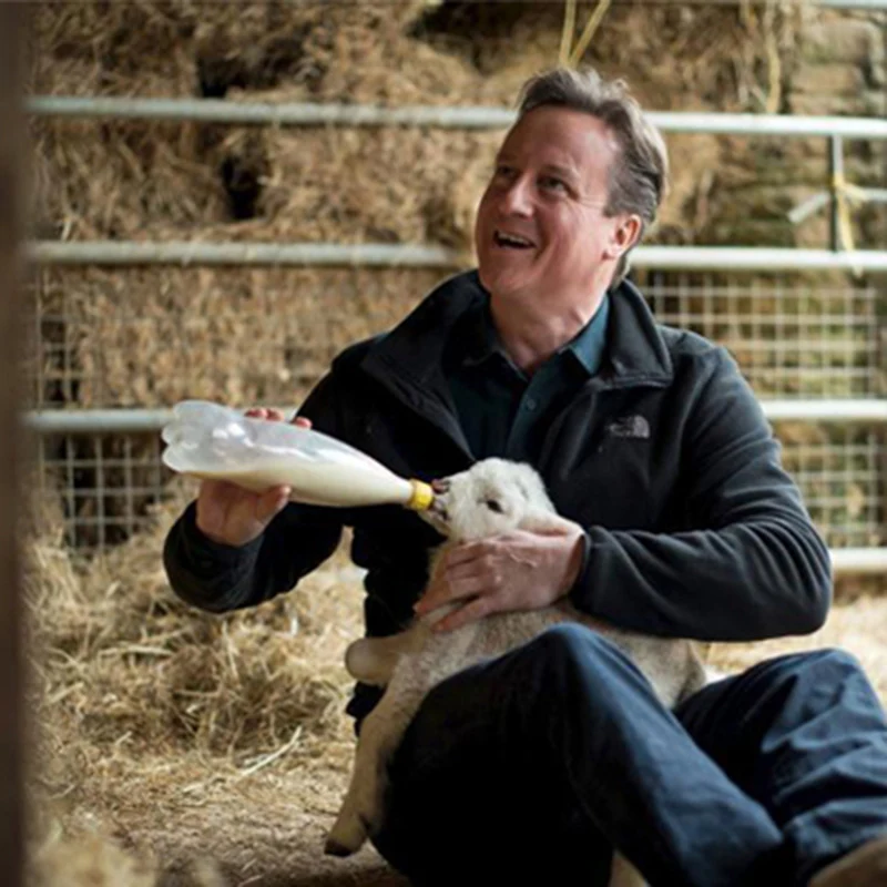 5 шт. соска для овец молочный напиток сосок мягкая резиновая кормления сирот