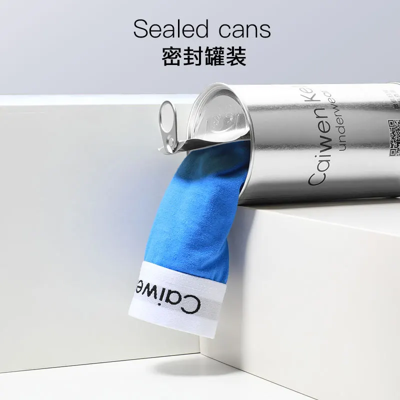 4-piece Set Male Panties Cotton Triangle Comfortable Breathable Men's Panties Underwear Man