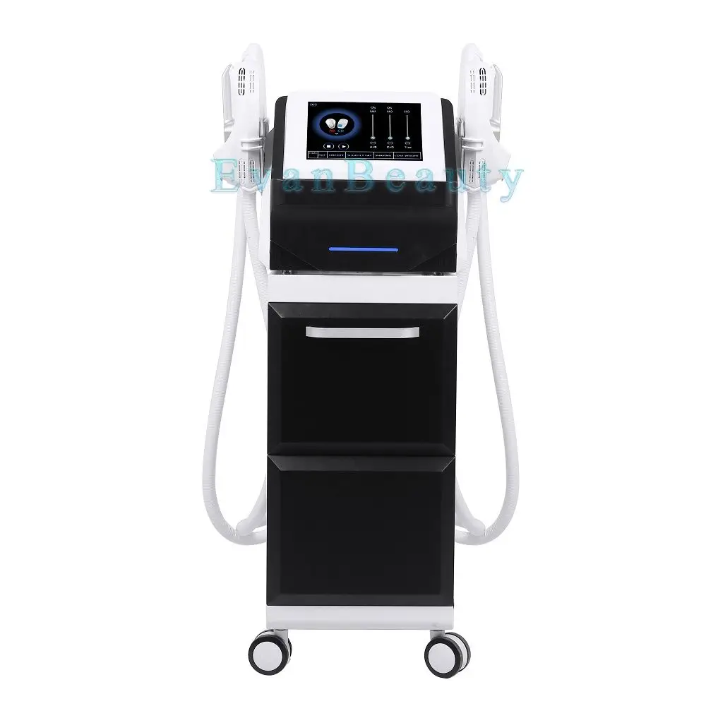 

Portable EMS Reduction Body Slimming Anti -Aging Fat Dissolving Muscle Stimulation Body Sculpting Machine
