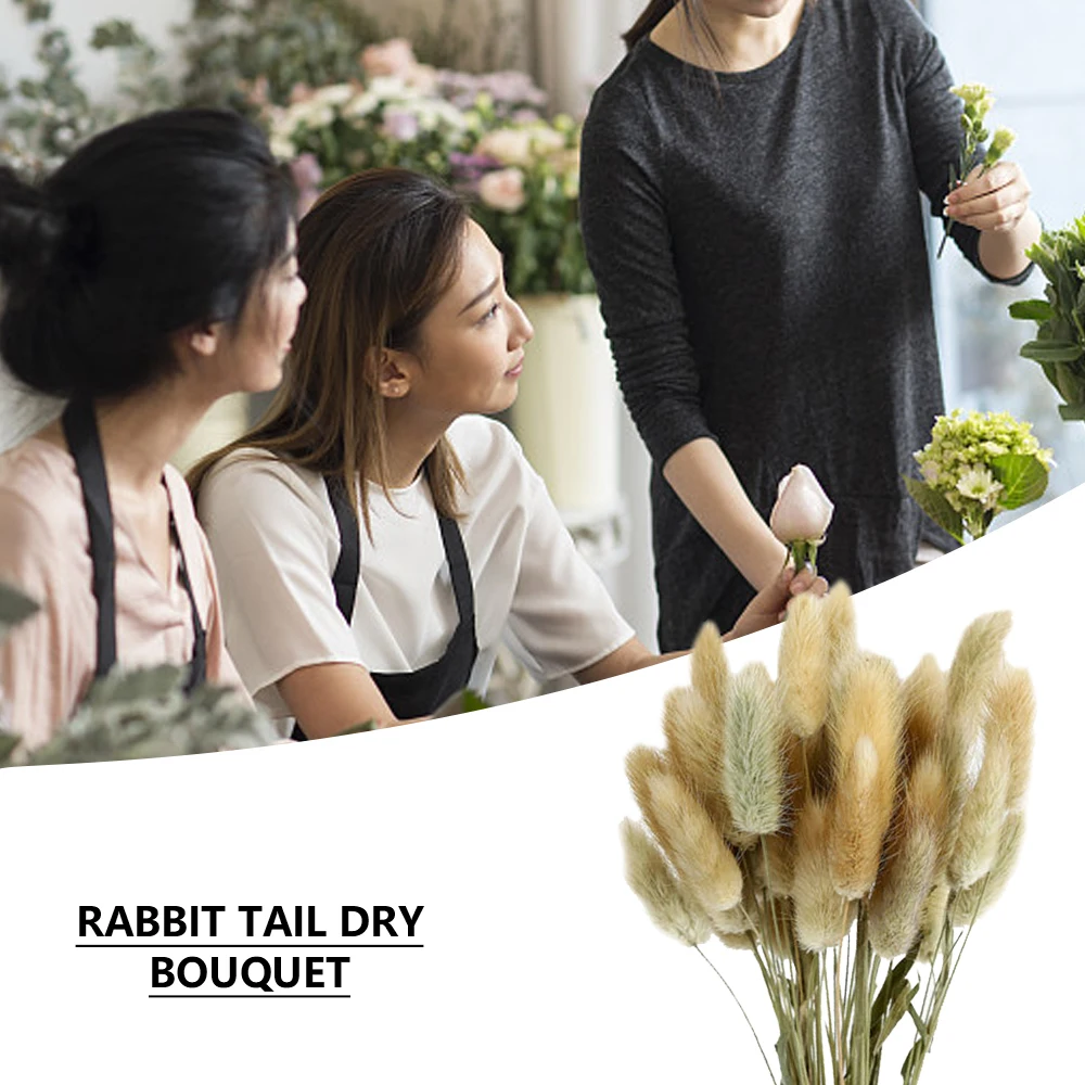 

60Pcs Rabbit Tail Grass Bunny Tails Dried Flower Bouquet Lagurus Flower Arrangement Supplies Photography Props Home Decoration