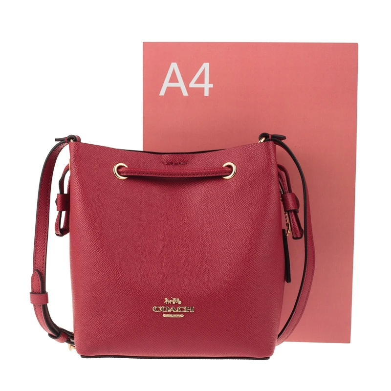 Подлинный оригинальный и абсолютно новый Coach F83718 Lena Кроссбоди кожа сумка | Багаж