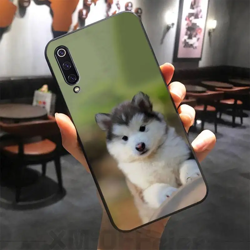 

Dog Funny Phone Case For Xiaomi Note 10 Pro 9 SE 9T Pro A2 Lite Slim Cover For Redmi Note 9s 8 Pro Phone Case