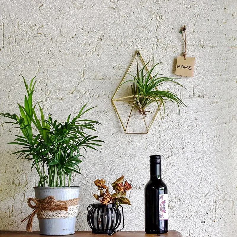 

Wall Mount Hanging Irregular Pentagon Geometric Metal Tillandsia Air Plants Holder Rack Wall Accent Decor for Himmeli