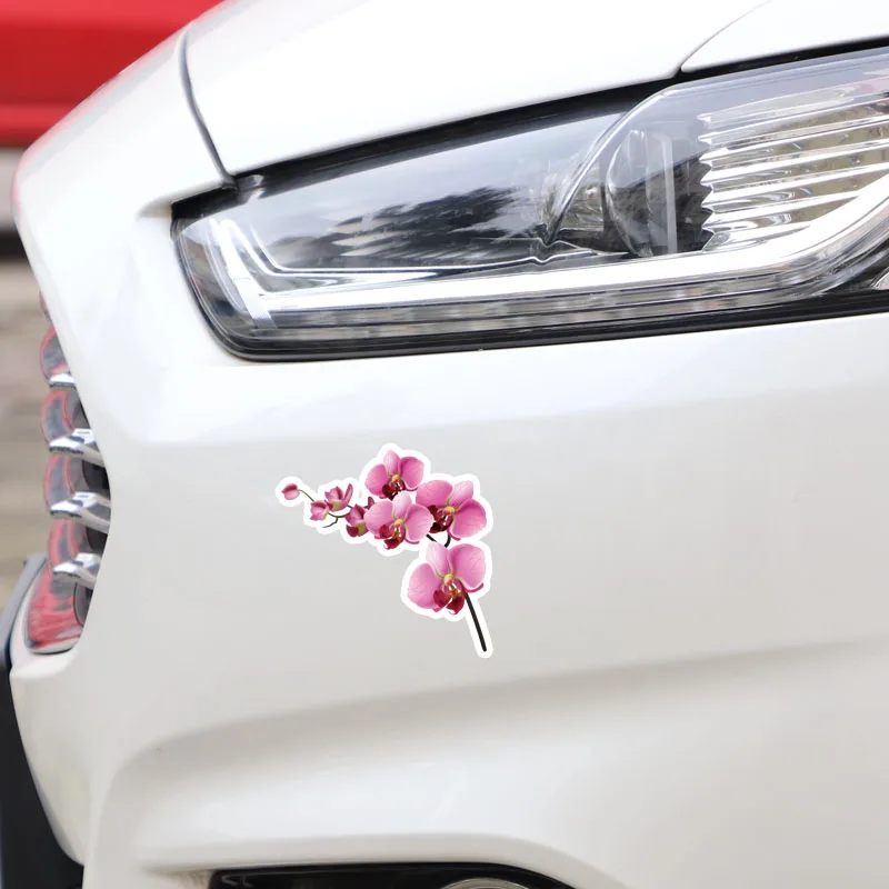 Volkrays Interesting Car Sticker Orchid Decor Accessories High Quality PVC Decal for Seat Leon Opel Astra H Land Rover 11cm*11cm |