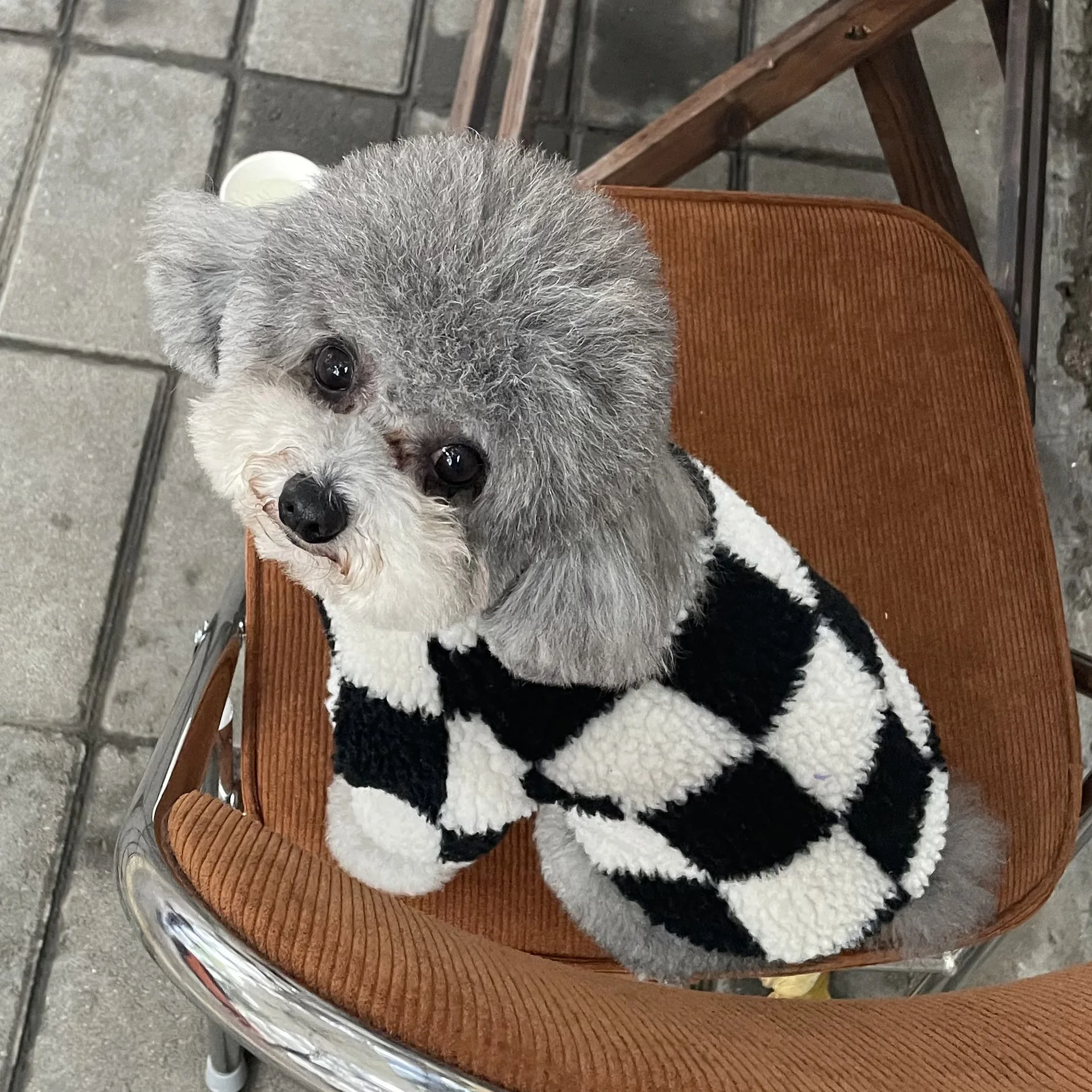 

Winter Dog Clothes Wholesale Checkerboard Bear Teddy Chenery Cat Fur Coat Pet Dog Sweatshirt Dogs Big Supplies Products Home