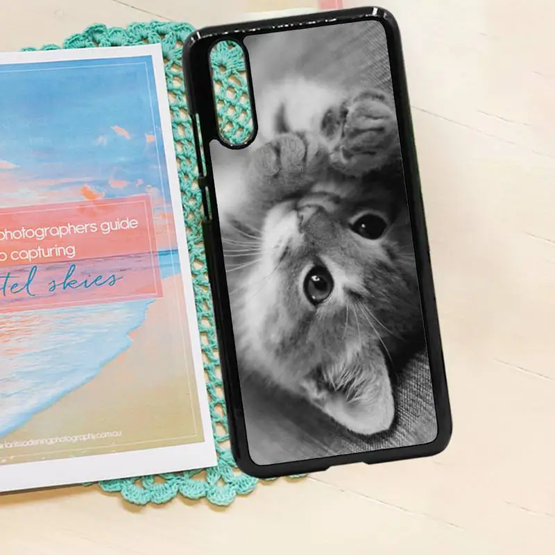 

Cute Animal Lovely cat Phone Case PC for iPhone 11 12 pro XS MAX 8 7 6 6S Plus X 5S SE 2020 XR