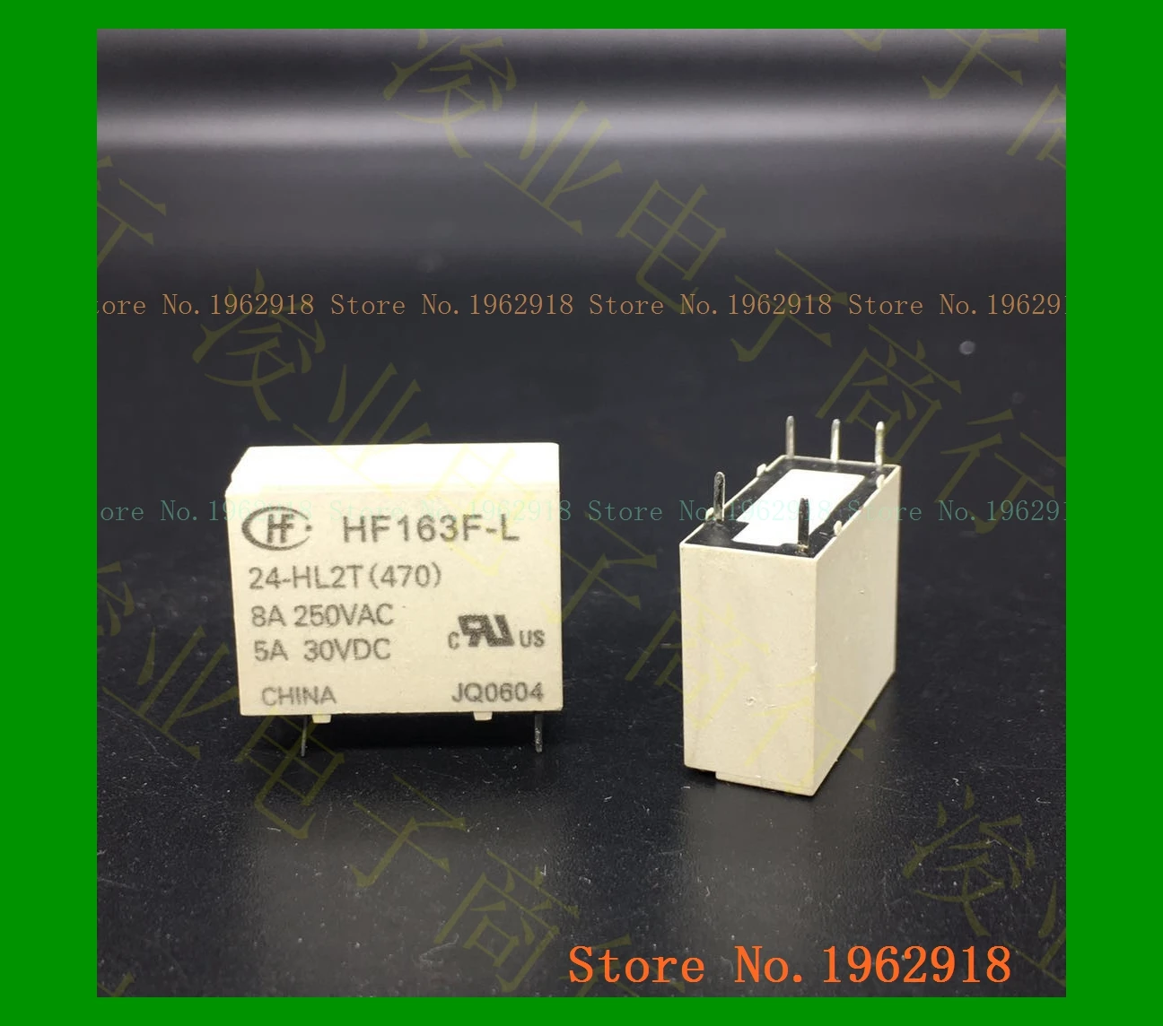 

HF163F-L 24-HL2T 8A