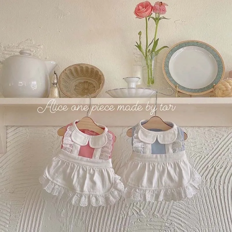 Корейское платье для домашних животных INS Wind Осень-Зима Розовая синяя юбка