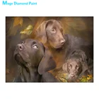 Лабрадор, Лара Алмазная картина животное собака круглая полная дрель Nouveaute DIY мозаика вышивка 5D Вышивка крестом домашний декор подарки