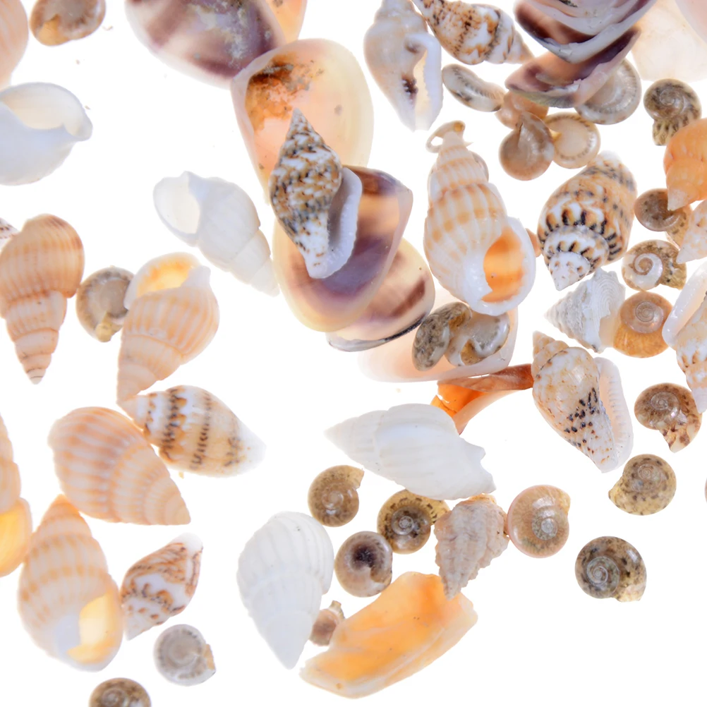 

1:12 Dolls garden Accessories About 40Pcs/bag Miniature Dollhouse Sea Shell Bonsai Lanscape DIY Decor