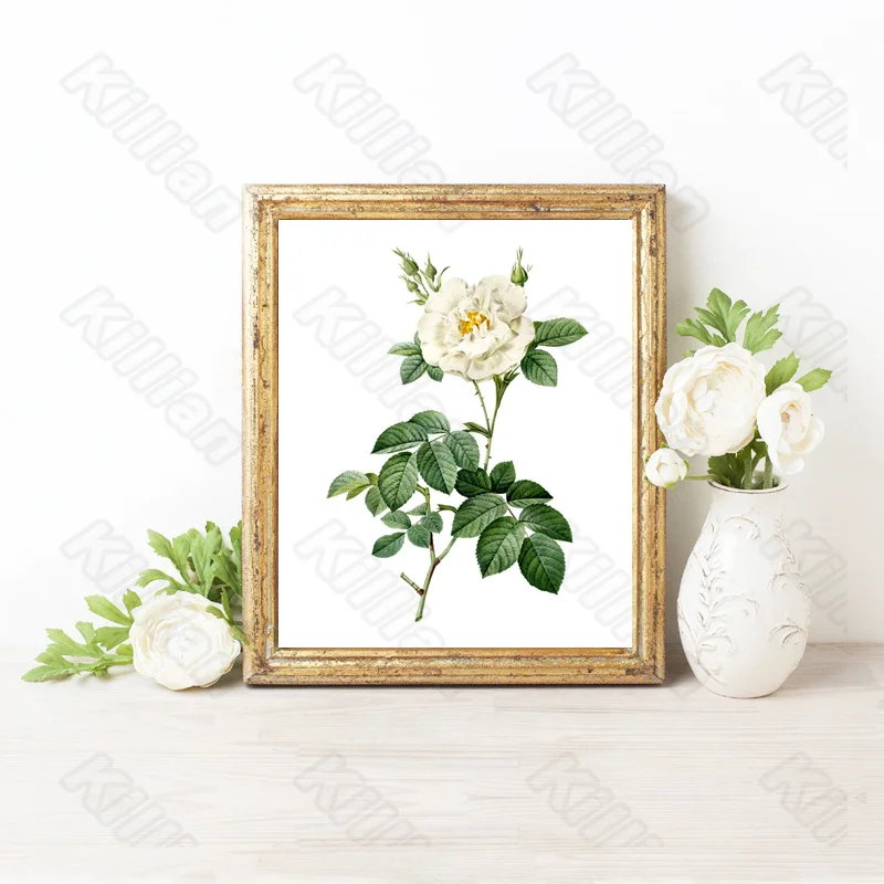 

Realistic Style Mural White Rose Flower Frameles Poster Home Residential Bedroom Decoration Living Room Canvas Painting