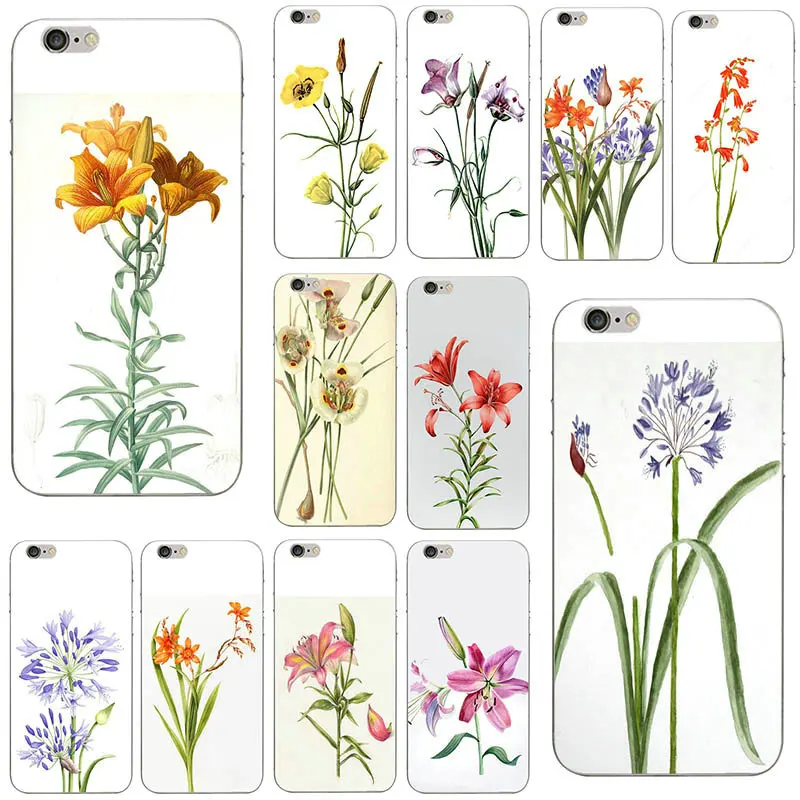 Матовые красивые цветные чехлы с цветочным рисунком для iPhone чехол 5 SE 5C блестящий