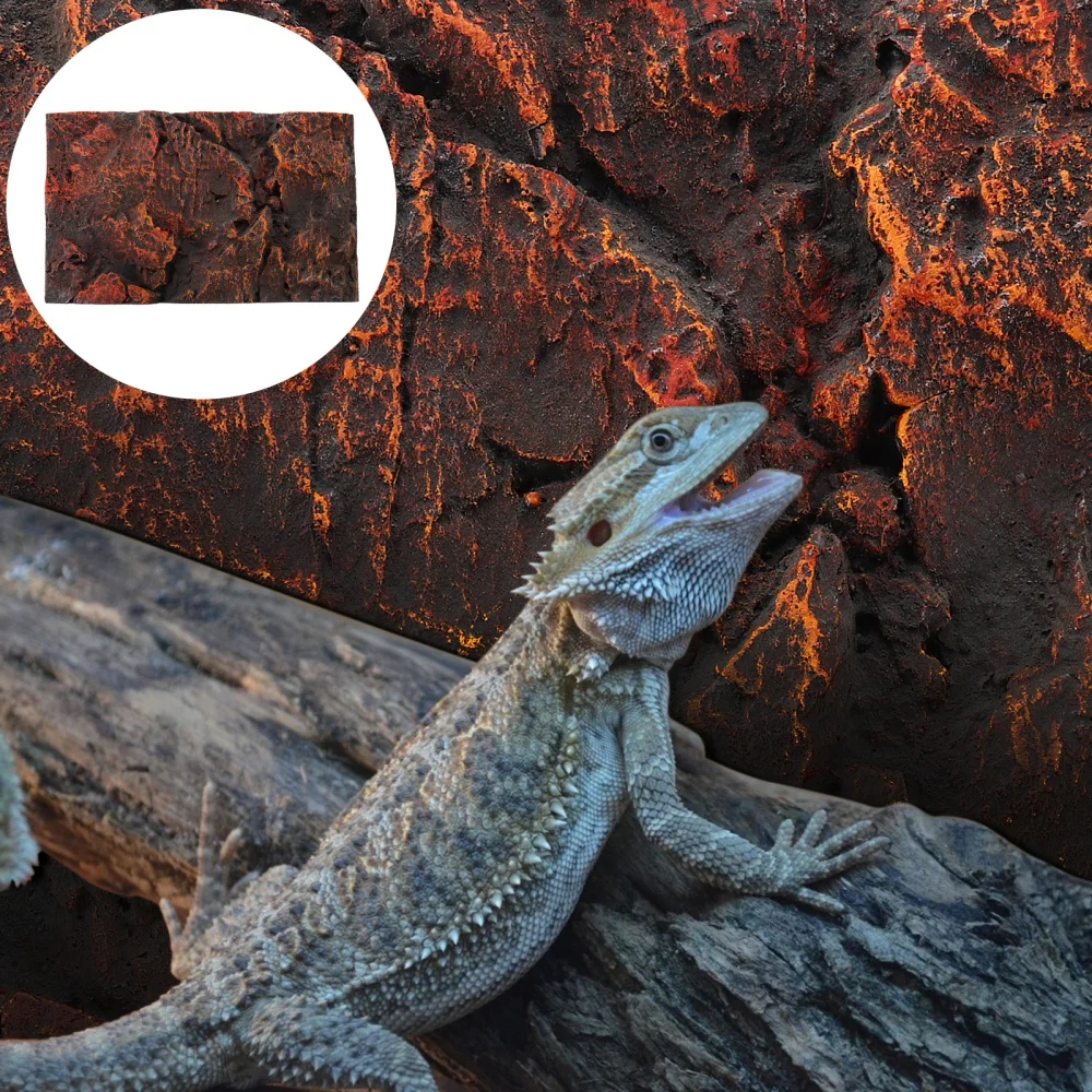 

1Pc Background Board Creative 3D Background Board Background Plate for Fish Tank