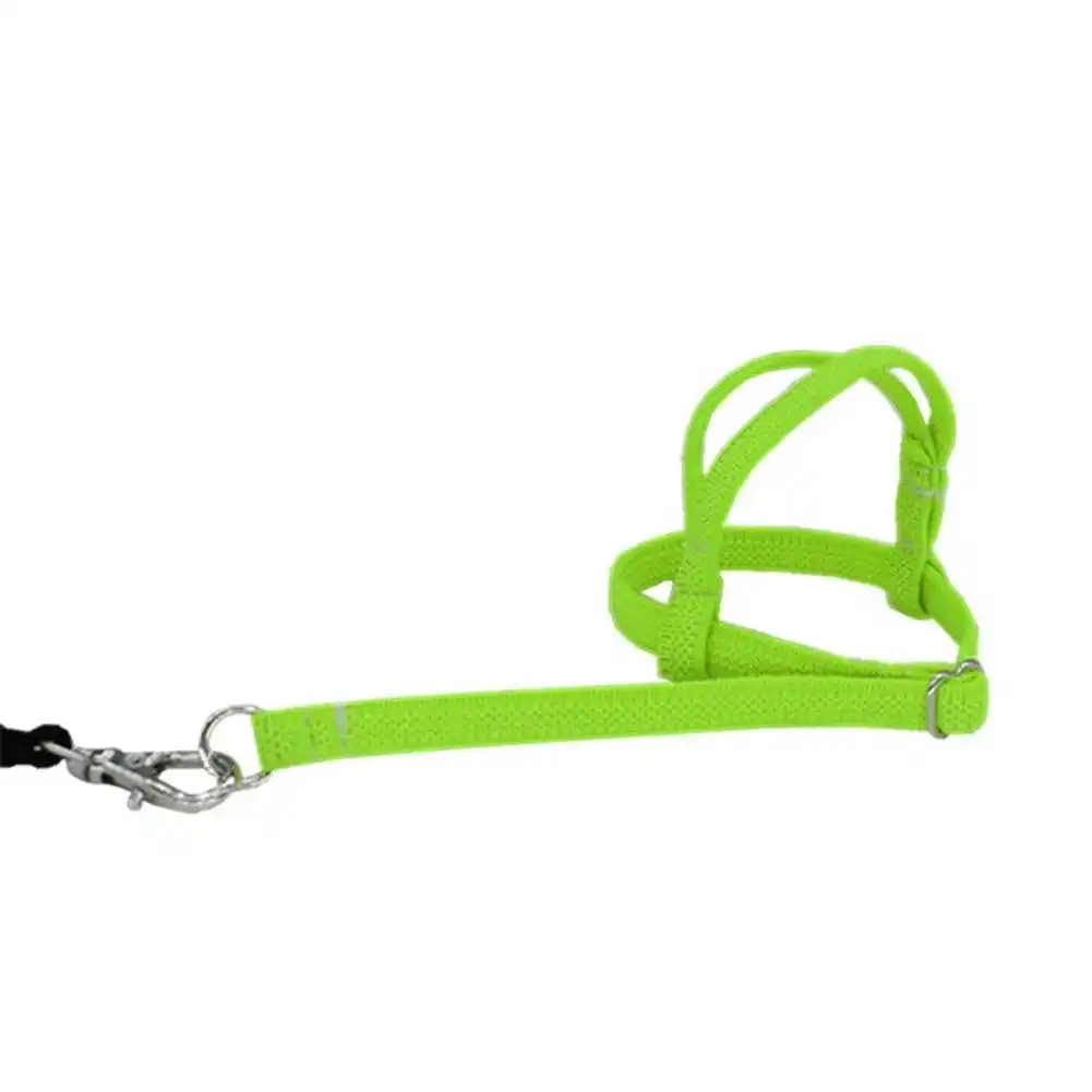 

Hot Sale Anti-bite Flying Training Rope Parrot Bird Pet Leash Kits Ultralight Harness Leash Soft Portable Pet Playthings