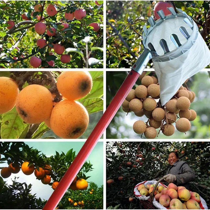 

Metal Fruit Picker Orchard Gardening Apple Peach High Tree Picking Tools Fruit Catcher Collector Gardening Tools