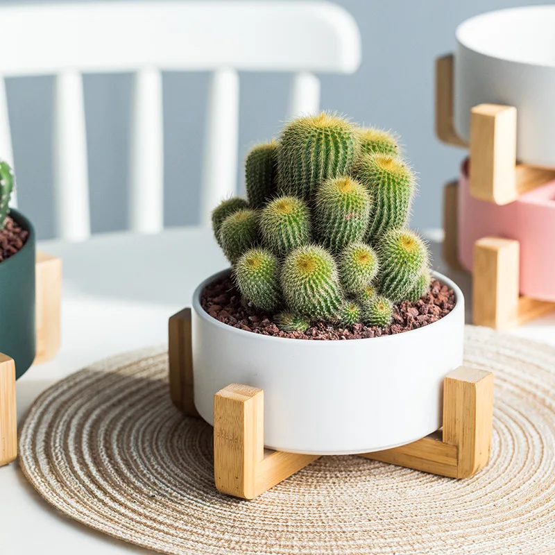 

Meat Flowerpot Ceramic Modern Simple Large Creative Wooden Frame Large Diameter Hydroponic Flower Pot of Pennisetum
