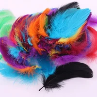 100pcs fluffy diy feathers craft kit colorful improve hands on ability natural plumes for kindergarten