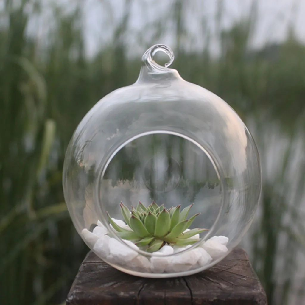 

Flower Hanging Vase Glass Planter Plant Terrarium Container Home Wedding Decor