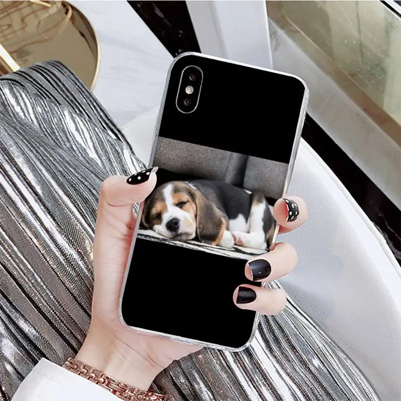 

YNDFCNB Beagle Dog Phone Case For iPhone X XS MAX 6 6s 7 7plus 8 8Plus 5 5S se 2020 XR 12 11 pro max case