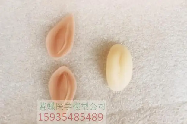 Double-fold Eyelids Surgery Micro Plastic Injection Double Eyelid Suture Training with Thread Embedding |