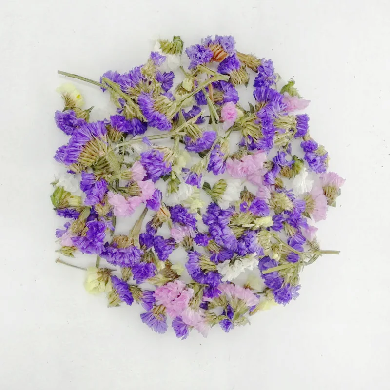 Смешанные цвета натуральные высушенные цветы не забудьте обо мне для