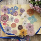 38 шт., прозрачные наклейки в виде натуральных цветов для скрапбукинга