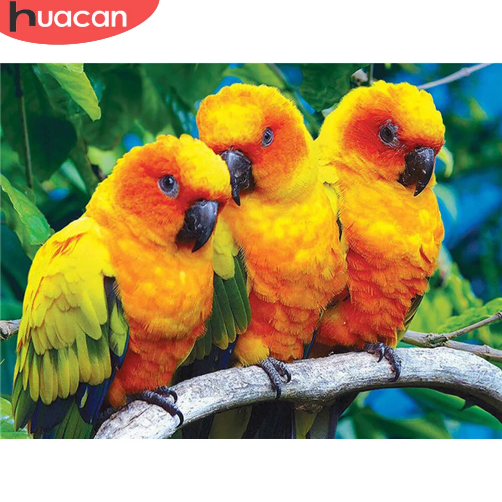

HUACAN Алмазная картина попугай Вышивка крестом полная дрель квадратная распродажа Алмазная вышивка Бриллиантовая мозаика с животным рукоде...