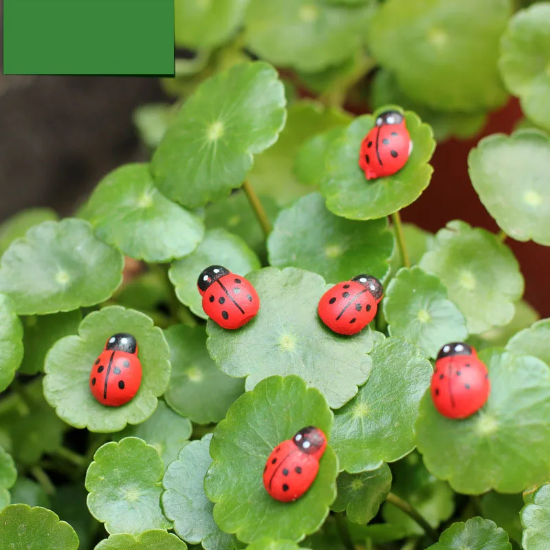 

100pcs Cartoon Mini Seven Star Ladybug Artificial Wood Beetle Moss Micro Landscape Art Decoration DIY Garden Plant Decoration