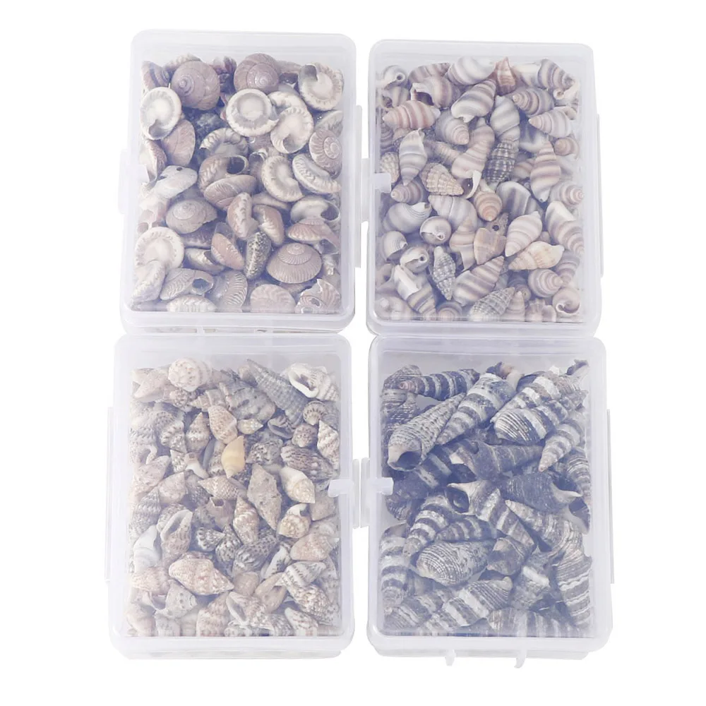 1 Box Pattern 4 Styles Nature Beach Fashion Sea Shells For DIY Caft Decor Jewelery Craft Accessories Holes Shell Decoration