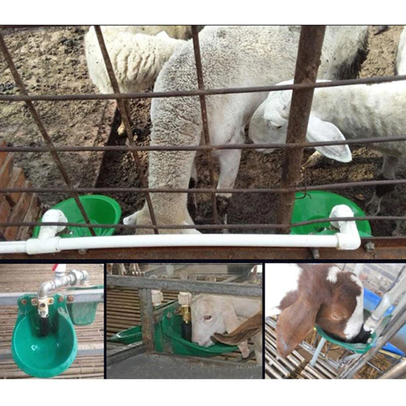 

Sheep Water Bowl Drinking Tool Goat Feeder Animal Feeder Plastic Automatic Drinking Trough Livestock Supplies