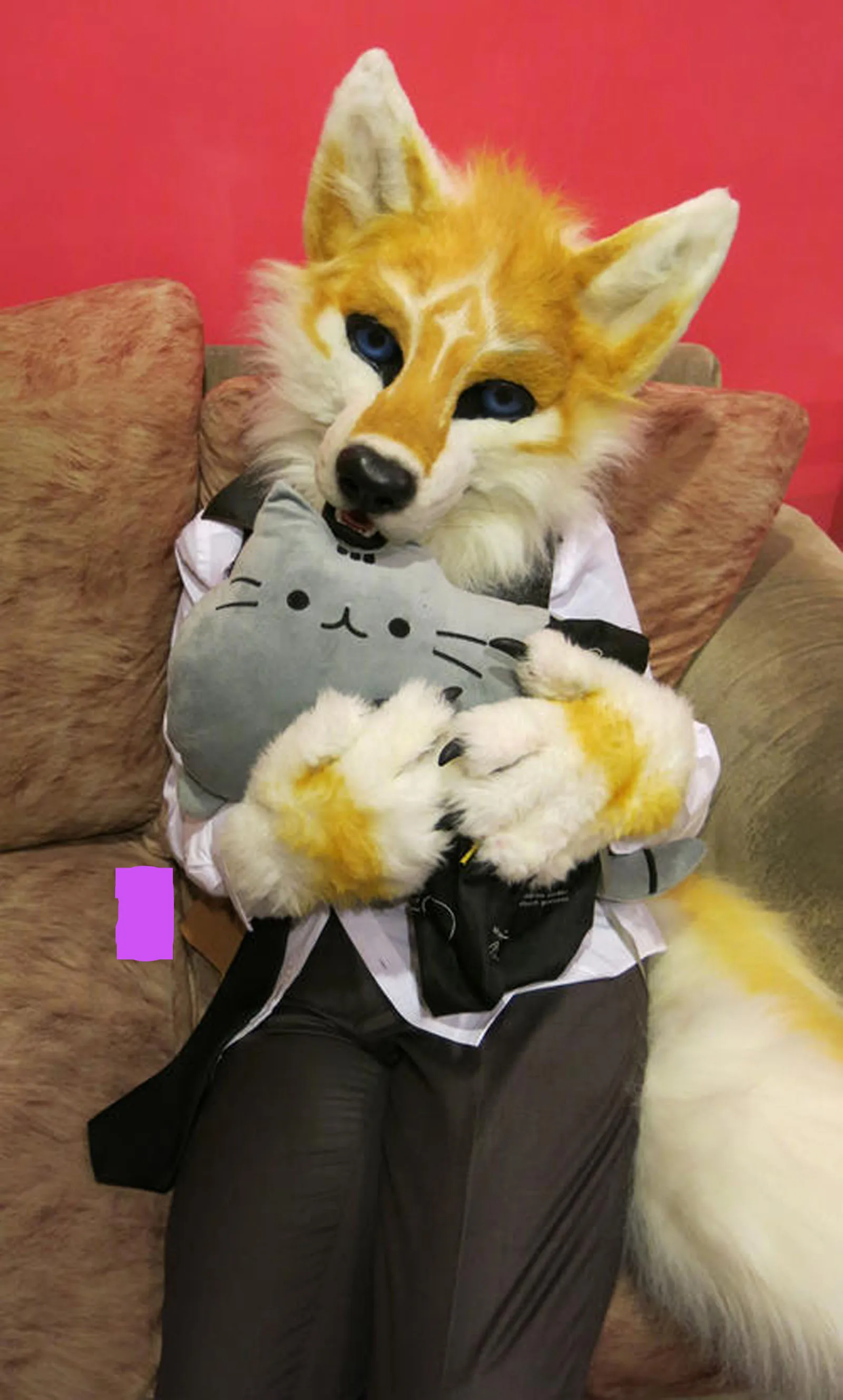 Индивидуальное реальное фото dx0018 полный комплект с котом Хаски собакой костюм