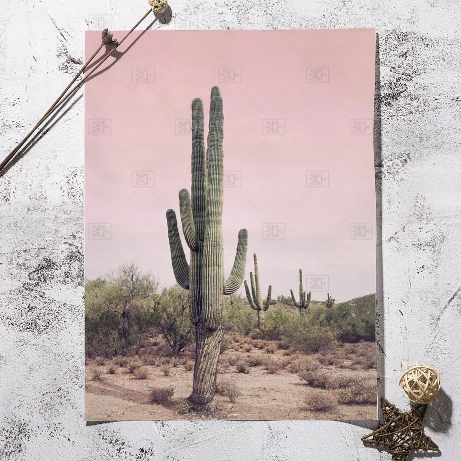 Pink Cactus Pineapple Blue Sea Beach Wall Art Canvas Painting Nordic Posters And Prints Pictures For Living Room Decor | Дом и сад