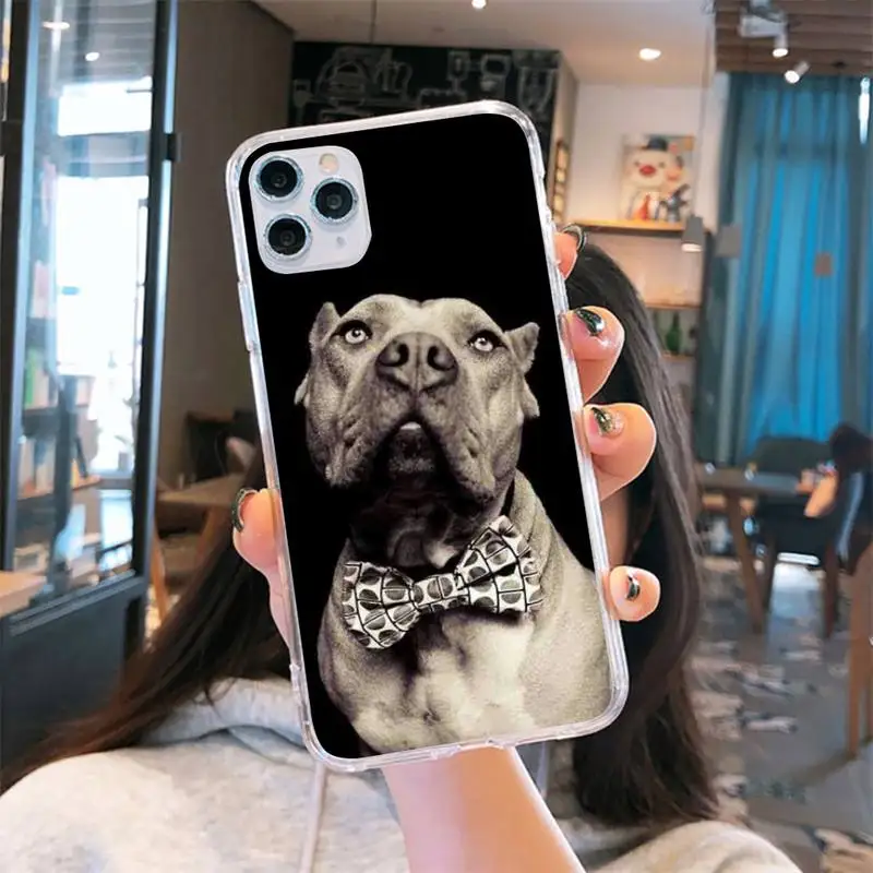

Pit Bull Lovely Pet Dog Pitbull Phone Case Transparent for iPhone 6 7 8 11 12 s mini pro X XS XR MAX Plus
