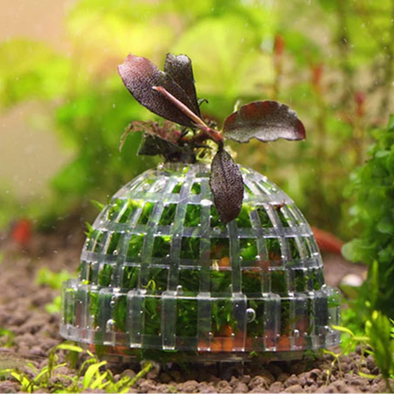 HOT Aquatic Pet Supplies Decorations Aquarium Marimo Moss Ball Live Plants Filter For Java Shrimps Fish Tank Hot Products | Дом и сад