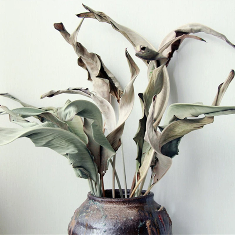 

10pcs Dried Leaves In Vase Artificial Leaf Decorative Natural Plant Indoor Gardening PhotoShoot Props Nordic Decor Home Ornament