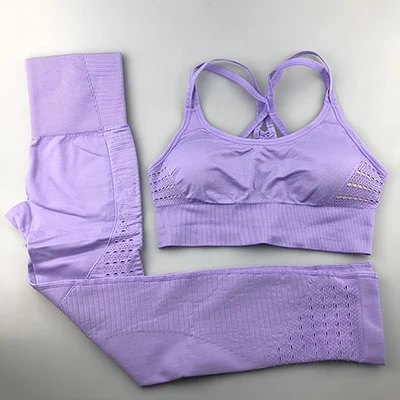 GYO201Violet 24 цвета спортивный костюм Йога наборы женская спортивная одежда энергия бесшовные леггинсы мягкий спортивный бюстгальтер 2 шт. Фитнес Спортивная тренировочная набор - Цвет: GYO201Violet