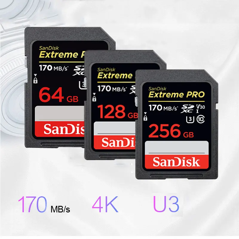SanDisk Extreme Pro,   64  128  256  SDXC 170 /  C10, U3, V30, 4K