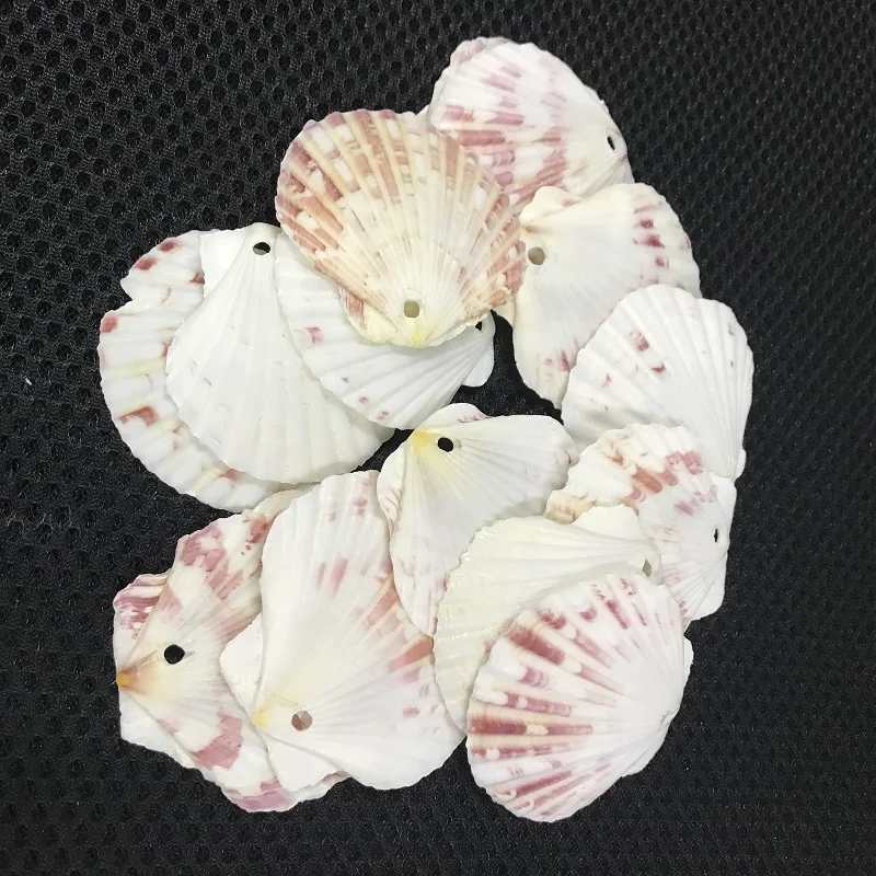 100 шт./пакет морские раковины Schelpen Coquillage Conchas Shell для украшения дома Вавилон морской домашний Морской Декор 1,5 мм гребешок