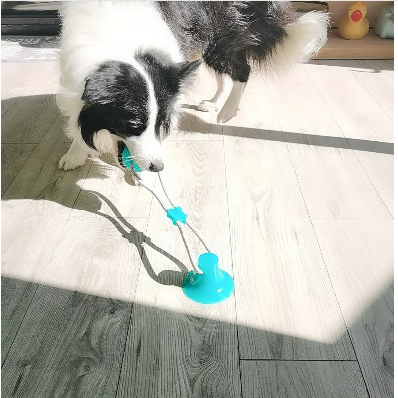 Интерактивная присоска для собак игрушки с нажимным мячом TPR эластичные веревки
