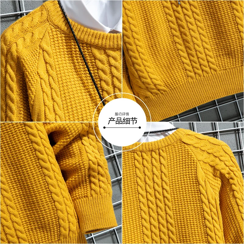 

2021 men's autumn/winter thick twist sweater youth loose casual round neck sweater