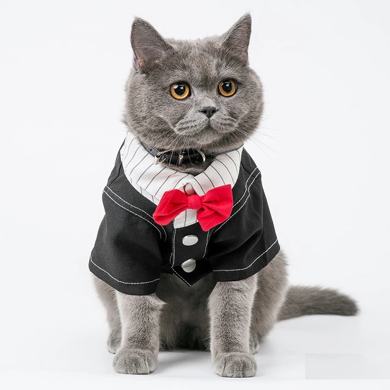 

Dog vest Teddy Puppy French Bulldog Luxury dog jacket for small medium dogs fashion Pet Clothes