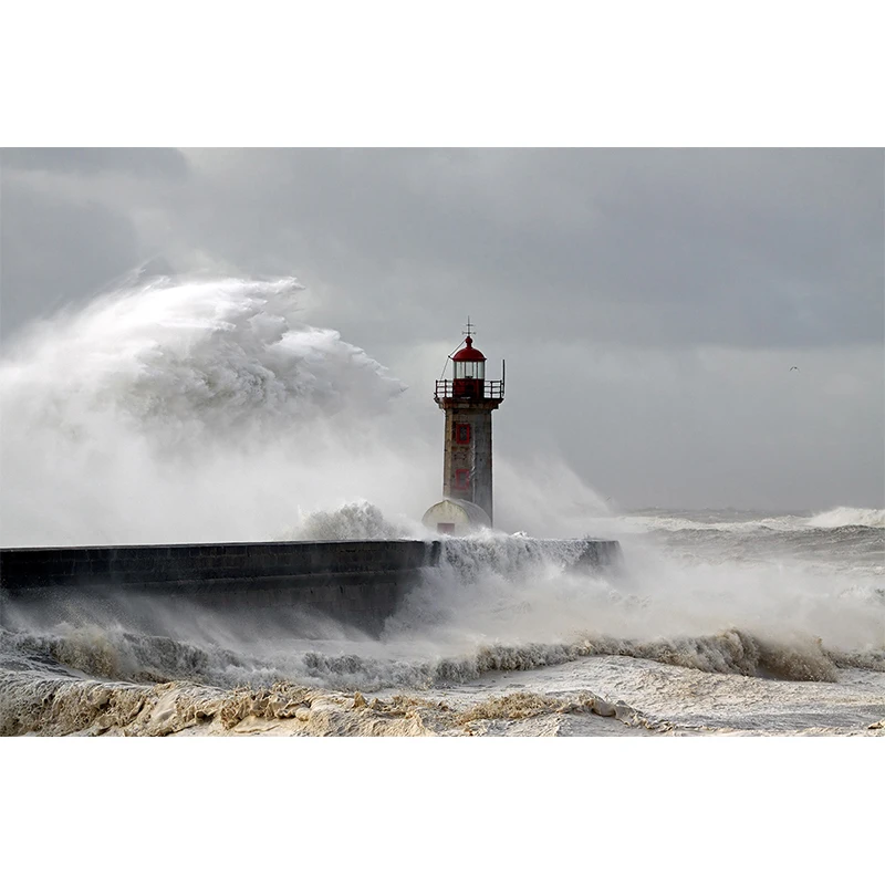 Nitree виниловый летний красивый пляж Новорожденный ребенок душ фон морская волна