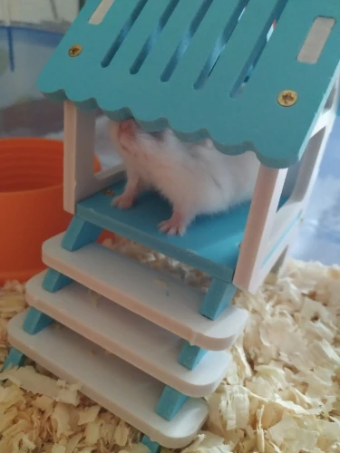 Кровать для домашних животных домик хомяков деревянный подъем маленькая клетка