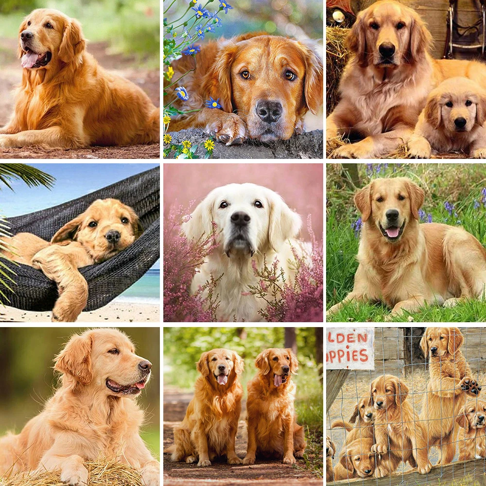 Wen Zuan New Diamond Painting 5D Animal Full Drill Square/Round Diamond Embroidery Dog Picture Cross Stitch Home Decoration Gift