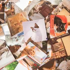 46 шт. стикеров s Box коллекция милых кошек DIY Наклейка на ноутбук телефон ручной аккаунт Декор