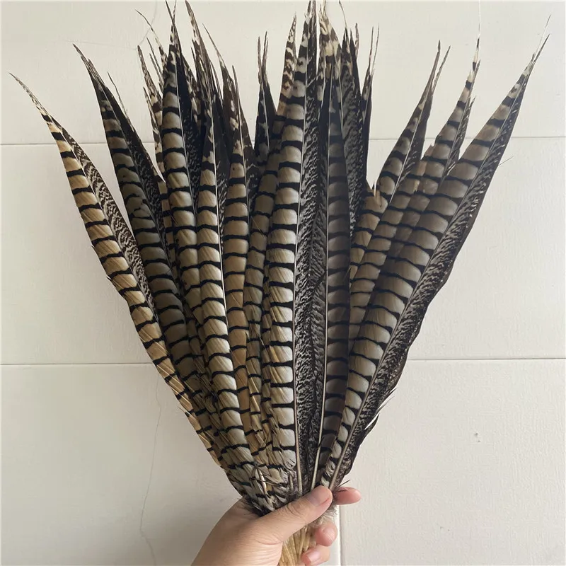 

50pcs/lot High Quality Natural Lady Amherst Pheasant tail Feathers 18-20inches /45-50CM Party Christmas Jewelry DIY Plume