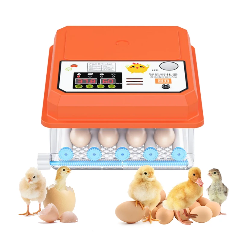 Инкубатор для яиц Брудер Цыпленок Полностью автоматический инкубатор Ферма