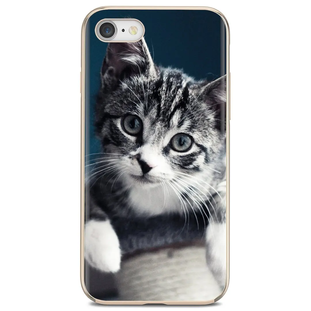 Для iPod Touch iPhone 10 11 12 Pro 4S 5S SE 5C 6 6S 7 8 X XR XS Plus Max 2020 ПЭТ Мейн кота мобильный телефон