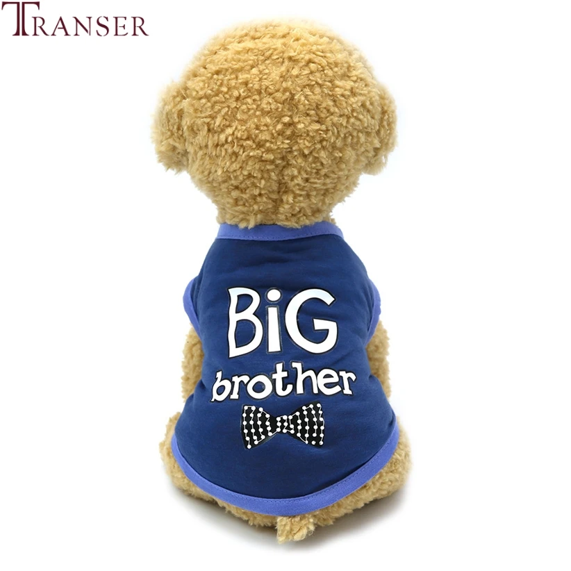 Одежда для домашних животных Transer Big Brother Blue Dog Products щенков с буквенным принтом